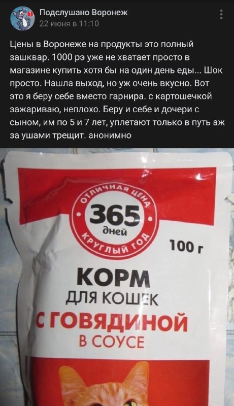 5 Koshki Korm