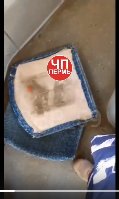 Perm
