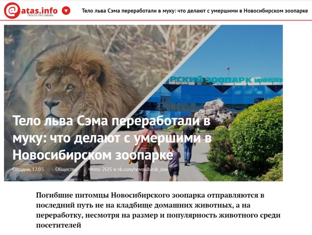 Фейк про льва Сэма