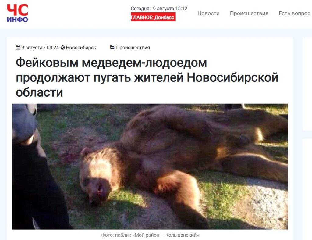 медведь_фейк