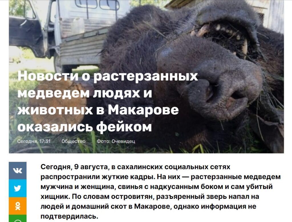 медведь_фейк