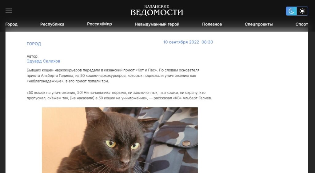 Кошки-фейк