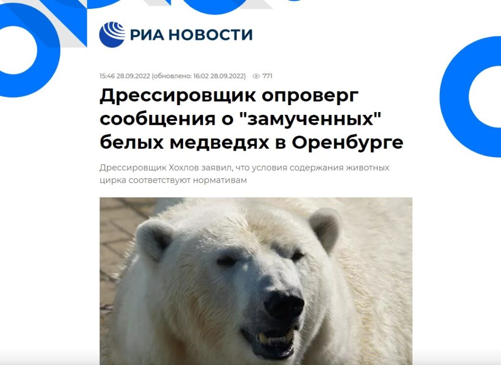 медведи-правда