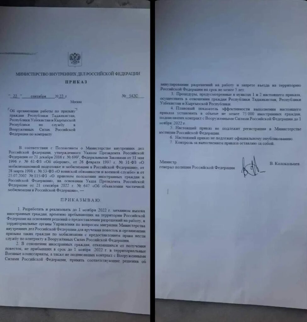 Приказ_фейк