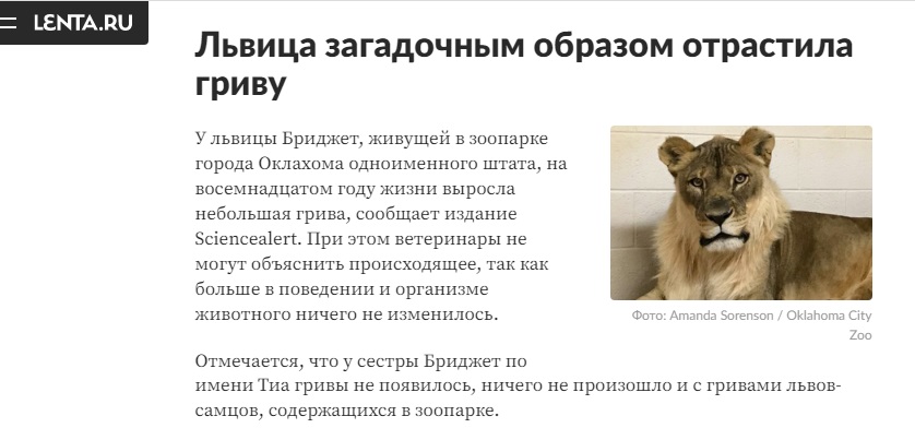 была ли бабушка льва Бонифация львицей если у нее есть грива