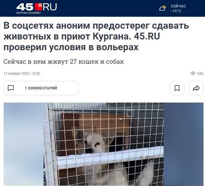 в соцсетях предостерегли сдавать животных в приют Кургана