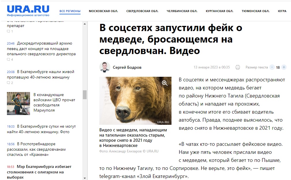 В Нижнем Тагиле медведь по городу гонялся за человеком