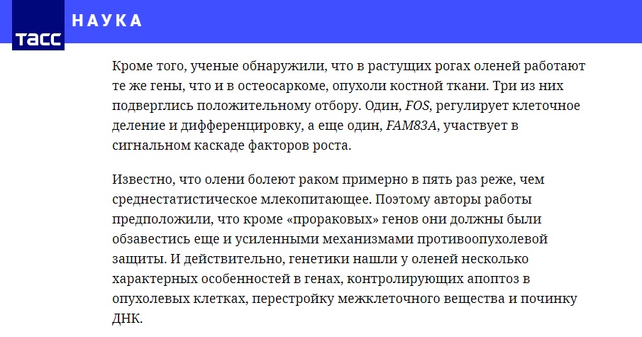 Олени