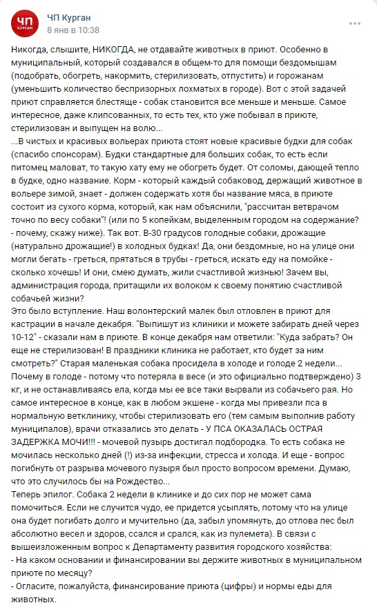 анонимный пользователь обвинил курганский муниципальный приют для животных в жестоком обращении