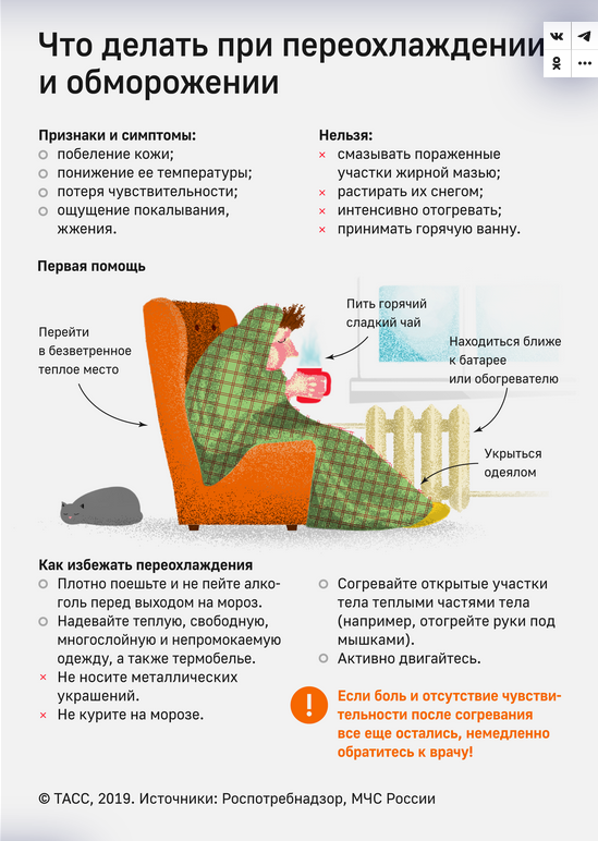 Screenshot 2023 01 12 At 11 24 19 Pervaya Pomoshh Pri Obmorozhenii Infografika Tass