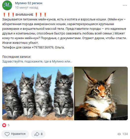 Image 2023 02 20 16 36 51
