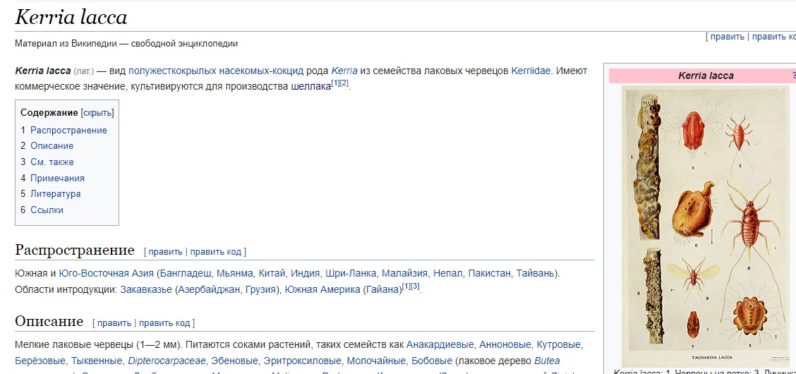 про добавку shellak в KInder Shoko Bons