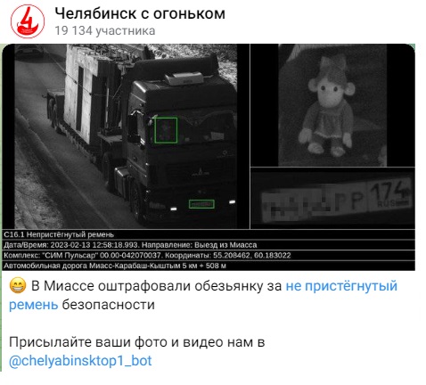 Обезьянка_2