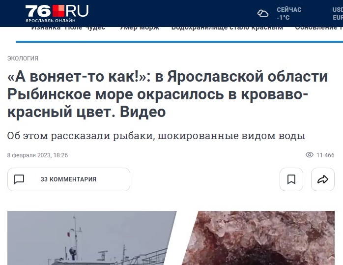 Рыбинск_фейк