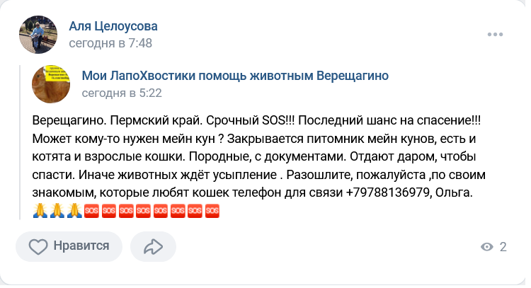 Screenshot 2023 02 21 At 12 11 20 Zapis Ali Czelousovoj