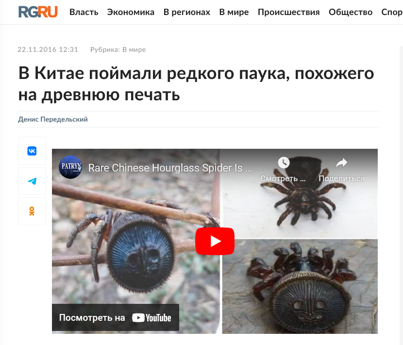 в Китае поймали редкого паука похожего на древнюю печать или монетку
