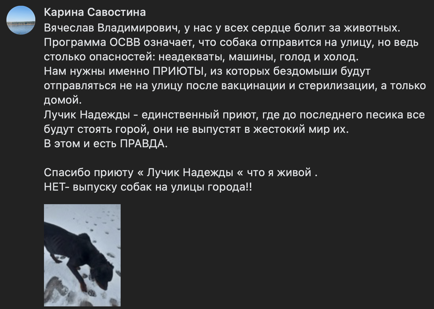 Snimok Ekrana 2023 02 15 V 14.13.26