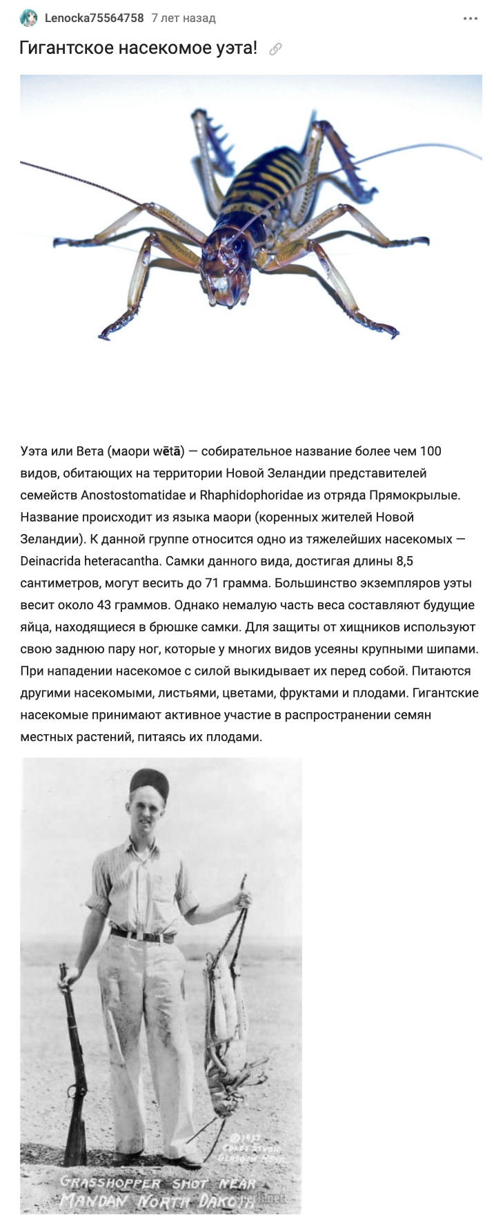 Snimok Ekrana 2023 02 20 V 18.50.44