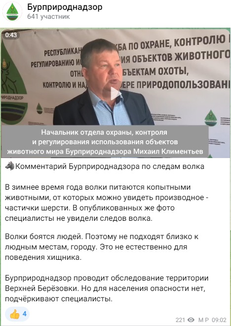 Волк_2