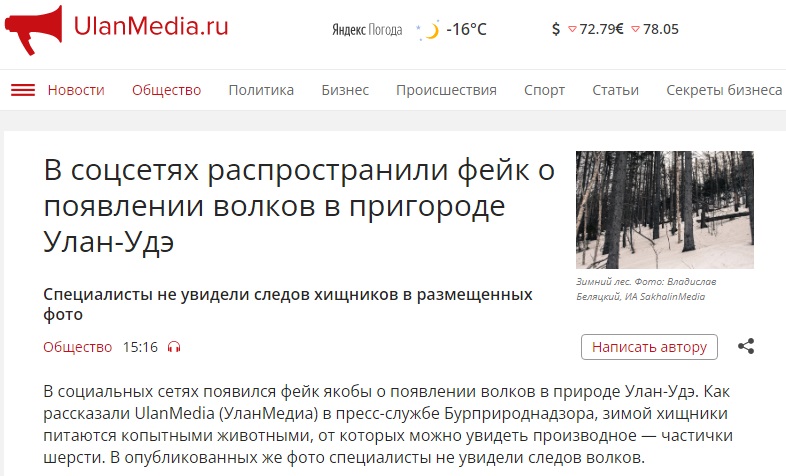 Волк_3