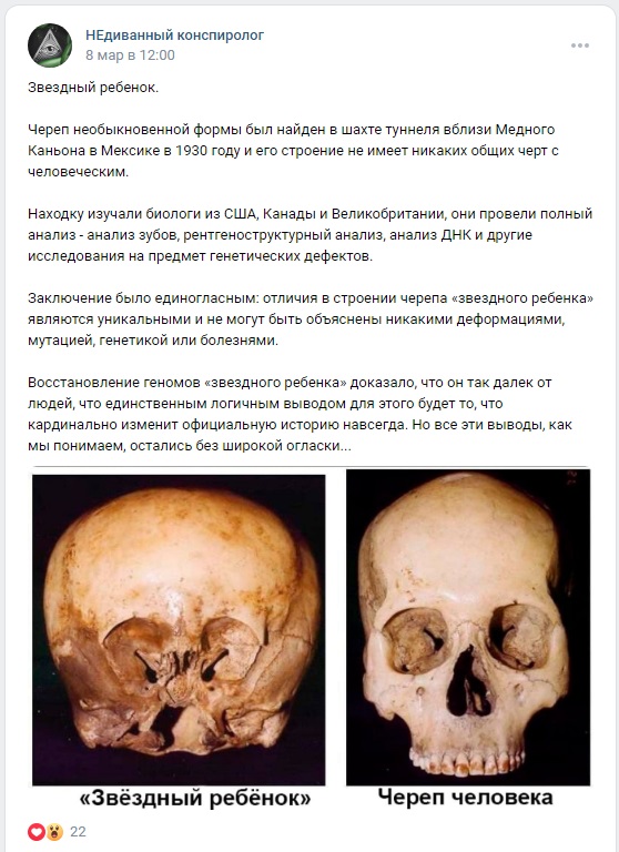 череп звездного ребенка инопланетянина