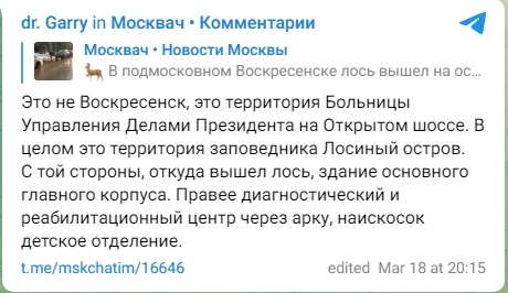 Лось_4
