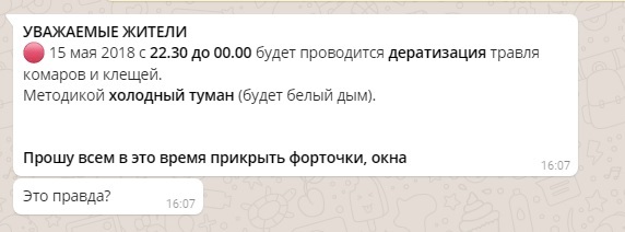 Насекомые_2
