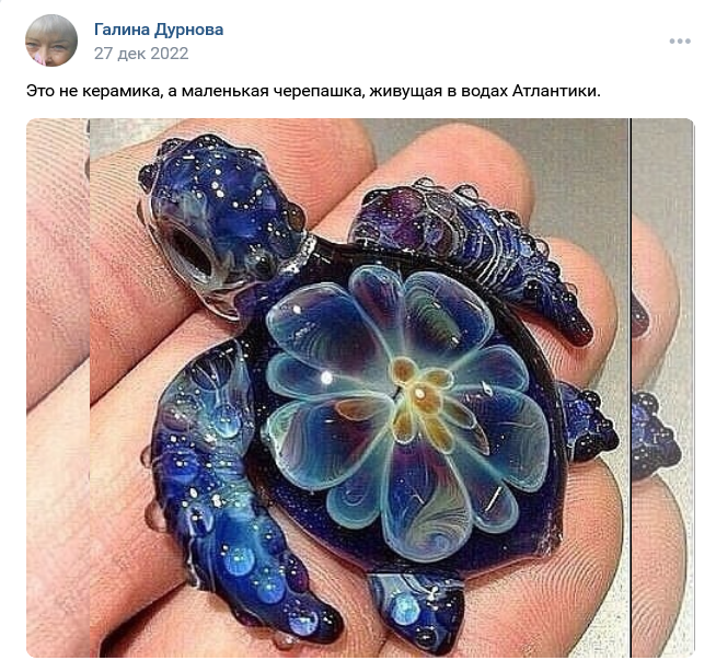 Screenshot 2023 03 09 At 15 21 04 Zapis Galiny Durnovoj 1