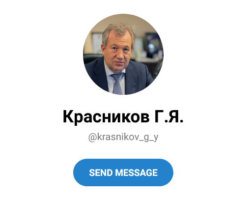 Screenshot 2023 03 15 At 14 22 41 Krasnikov G.ya