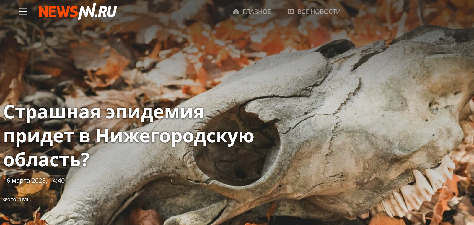 Screenshot 2023 03 16 At 16 51 50 Strashnaya Epidemiya Pridet V Nizhegorodskuyu Oblast — Poslednie Novosti Nizhnego Novgoroda I Oblasti Newsnn
