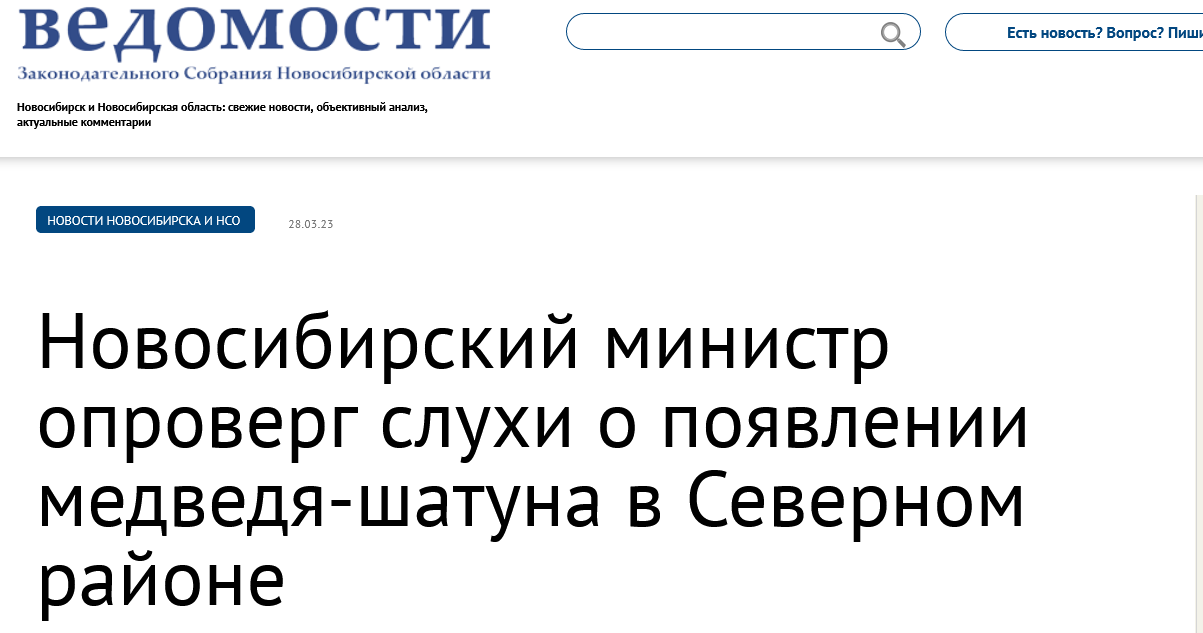 Screenshot 2023 03 28 At 11 12 07 Novosibirskij Ministr Oproverg Sluhi O Poyavlenii Medvedya Shatuna V Severnom Rajone