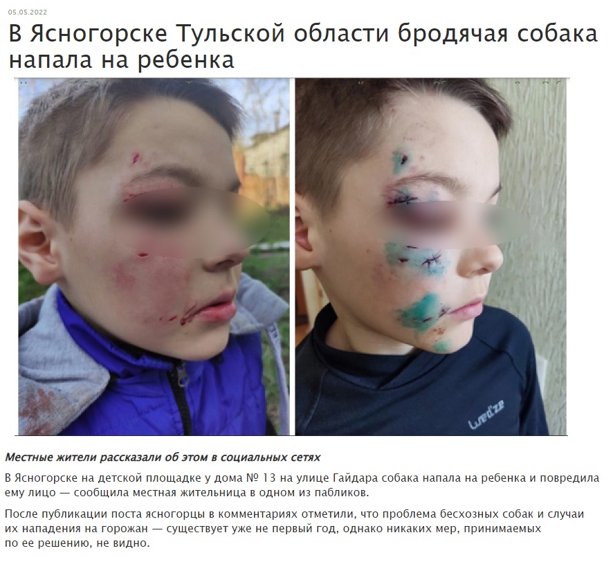 Астрахань_собаки_4