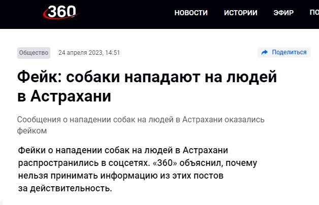 Астрахань_собаки_6