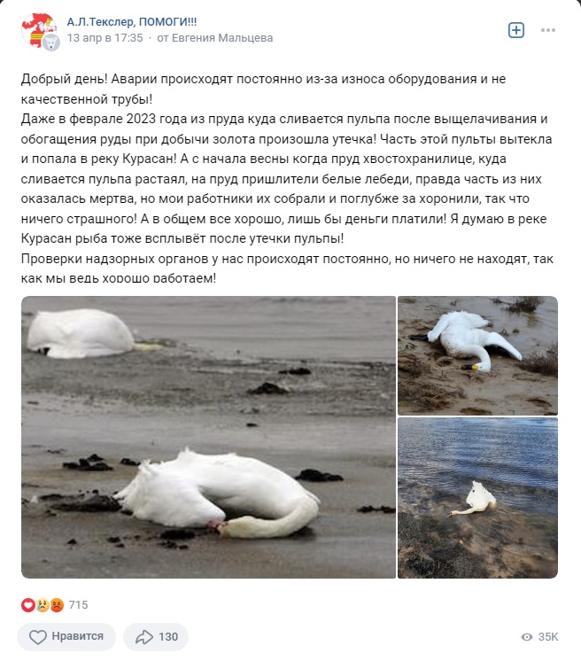 Лебеди_1