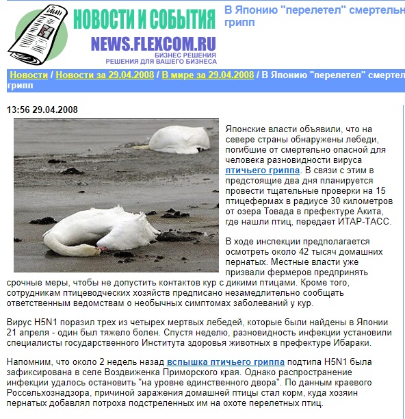 Лебеди_5