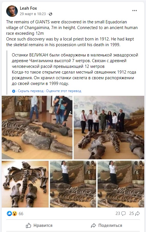 в Эквадоре нашли останки семиметрового гиганта