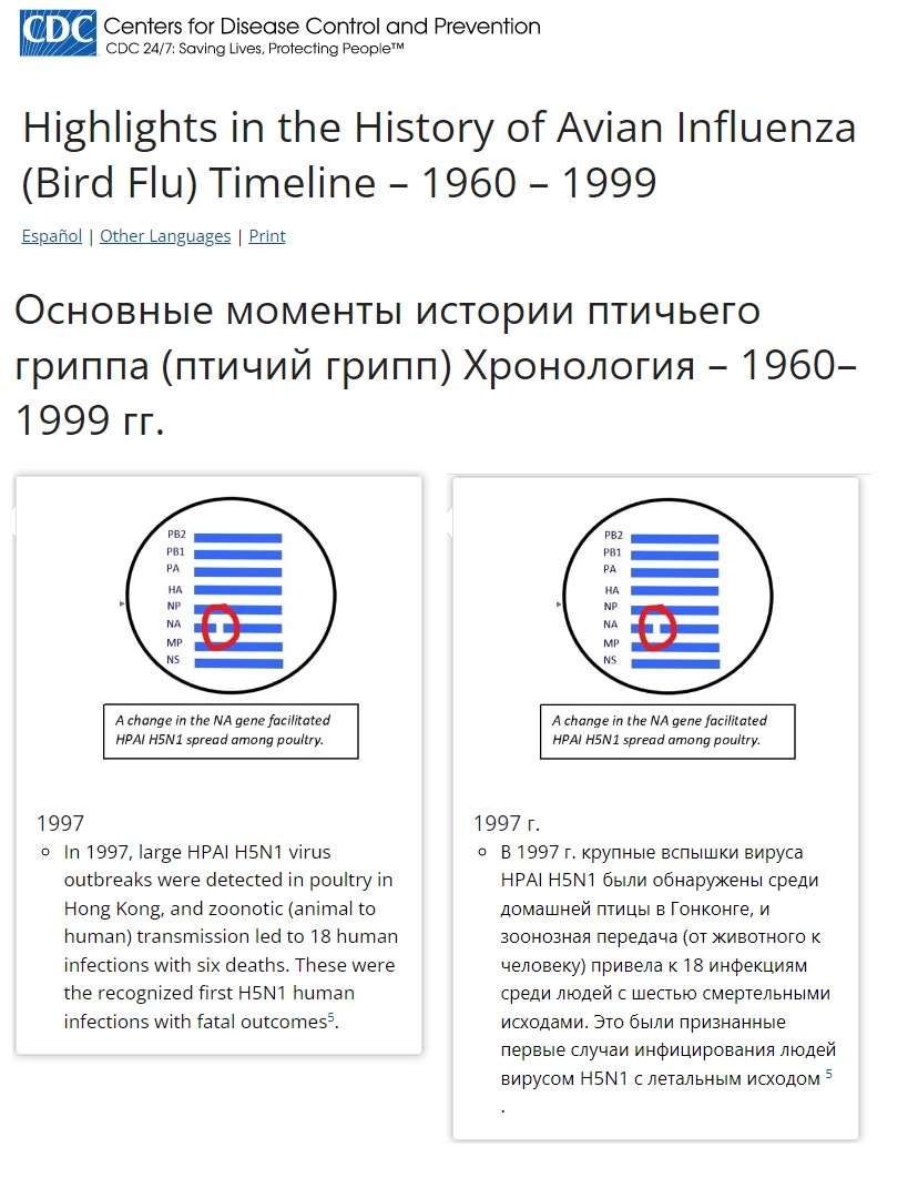 Радио_5