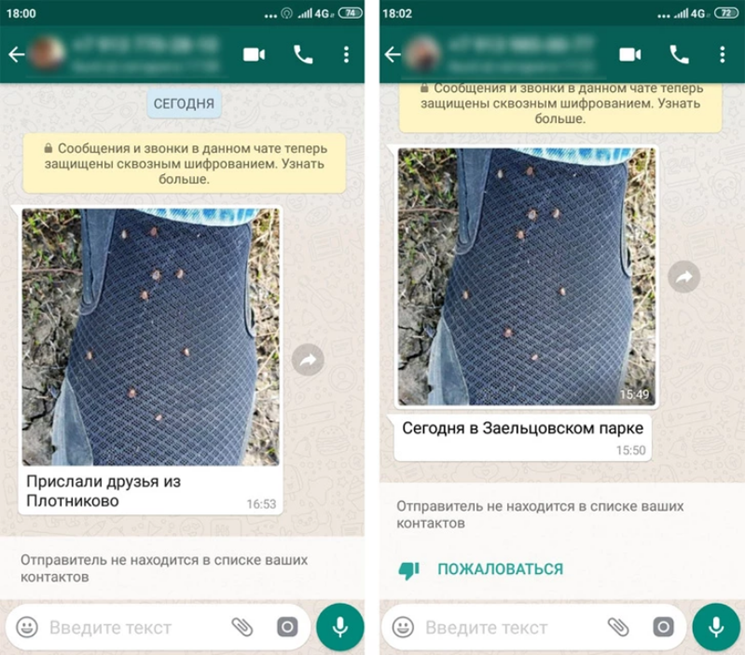 Risunok12