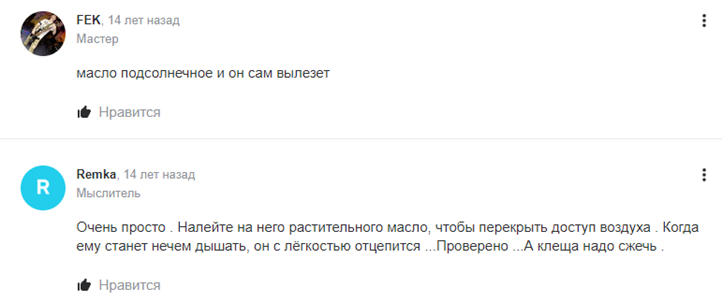 Risunok8