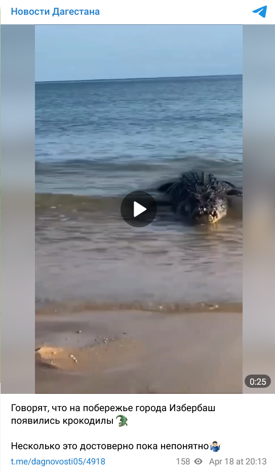 в Дагестане появились крокодилы в Каспийском море