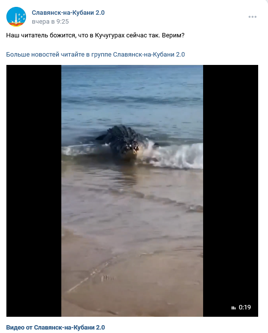 крокодил в Азовском море