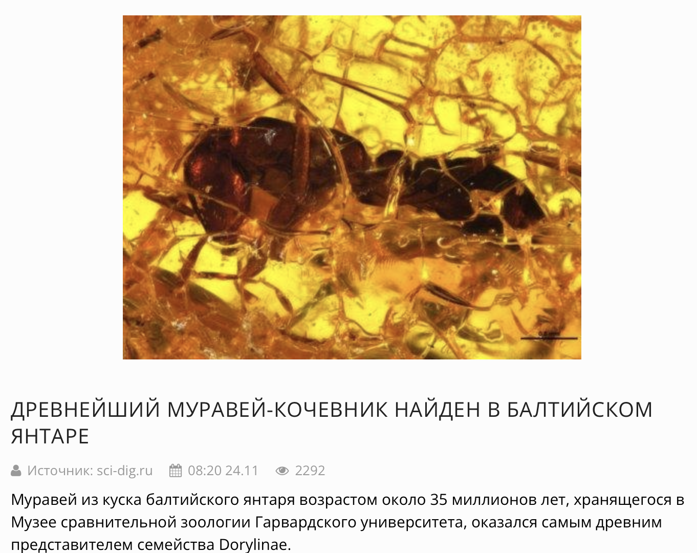 Snimok Ekrana 2023 05 02 V 10.45.25