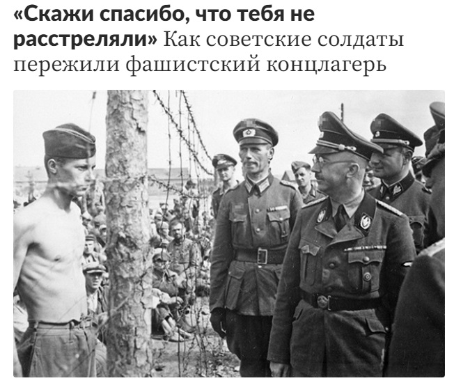 скажи спасибо что тебя не расстреляли