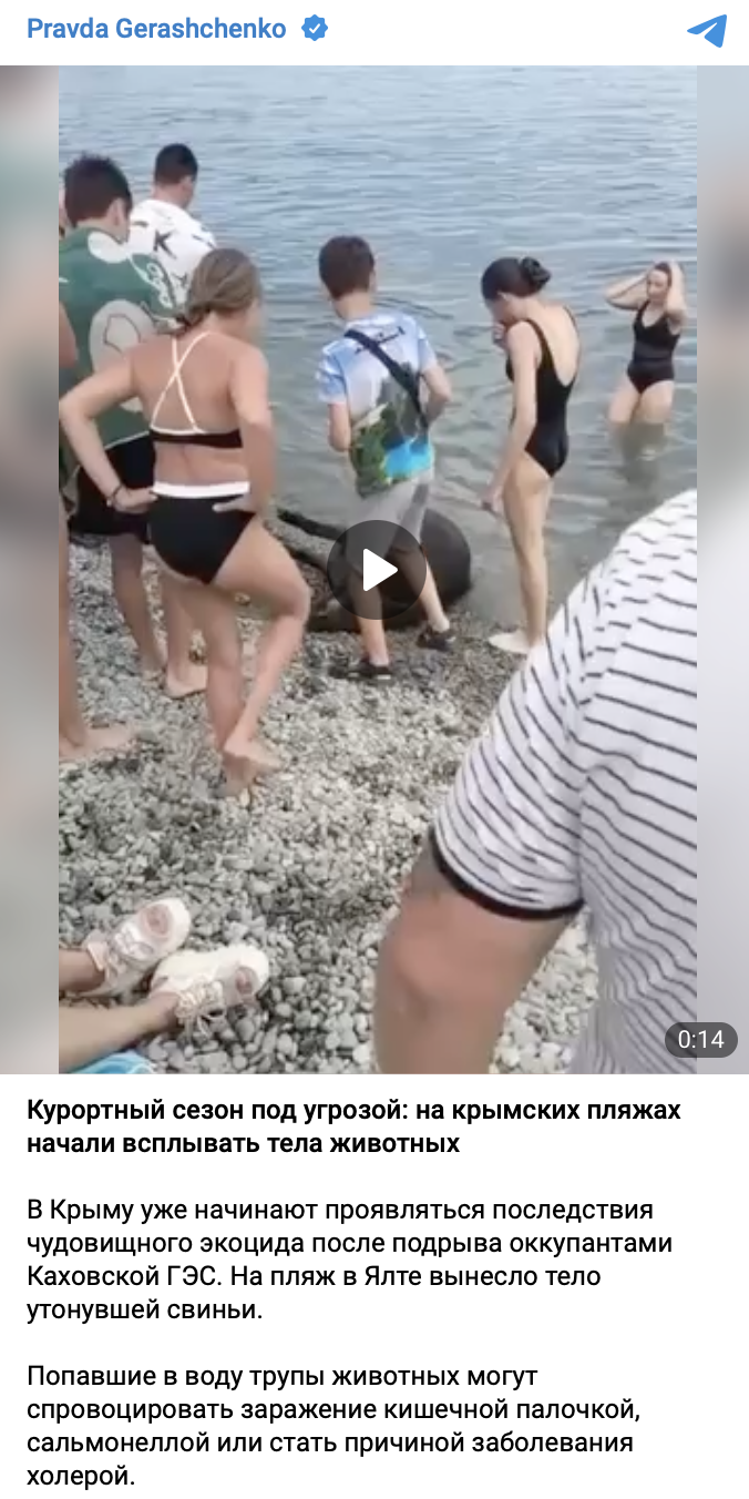 Snimok Ekrana 2023 06 19 V 12.39.29