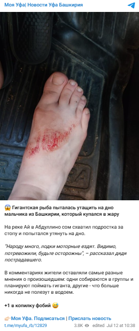 гигантский сом пытался съесть мальчика в Башкирии