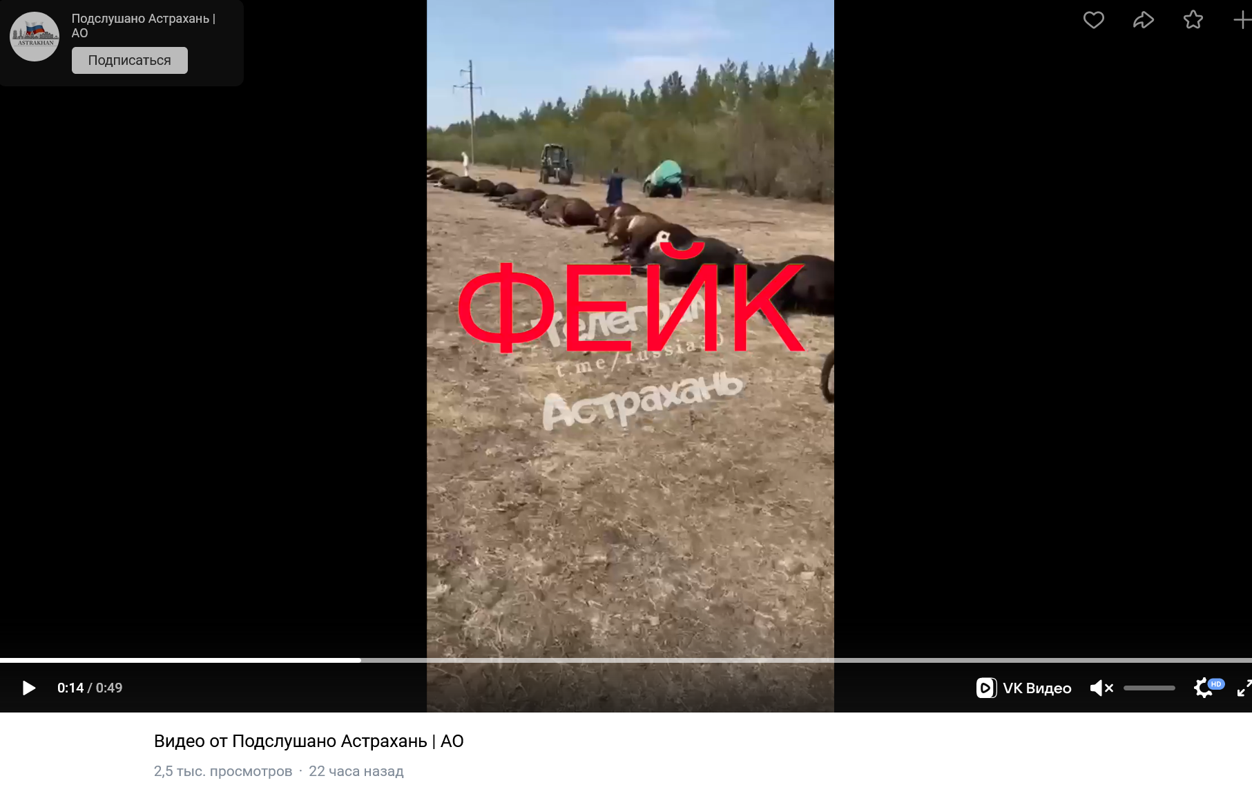 фейк о падеже скота в Астрахани