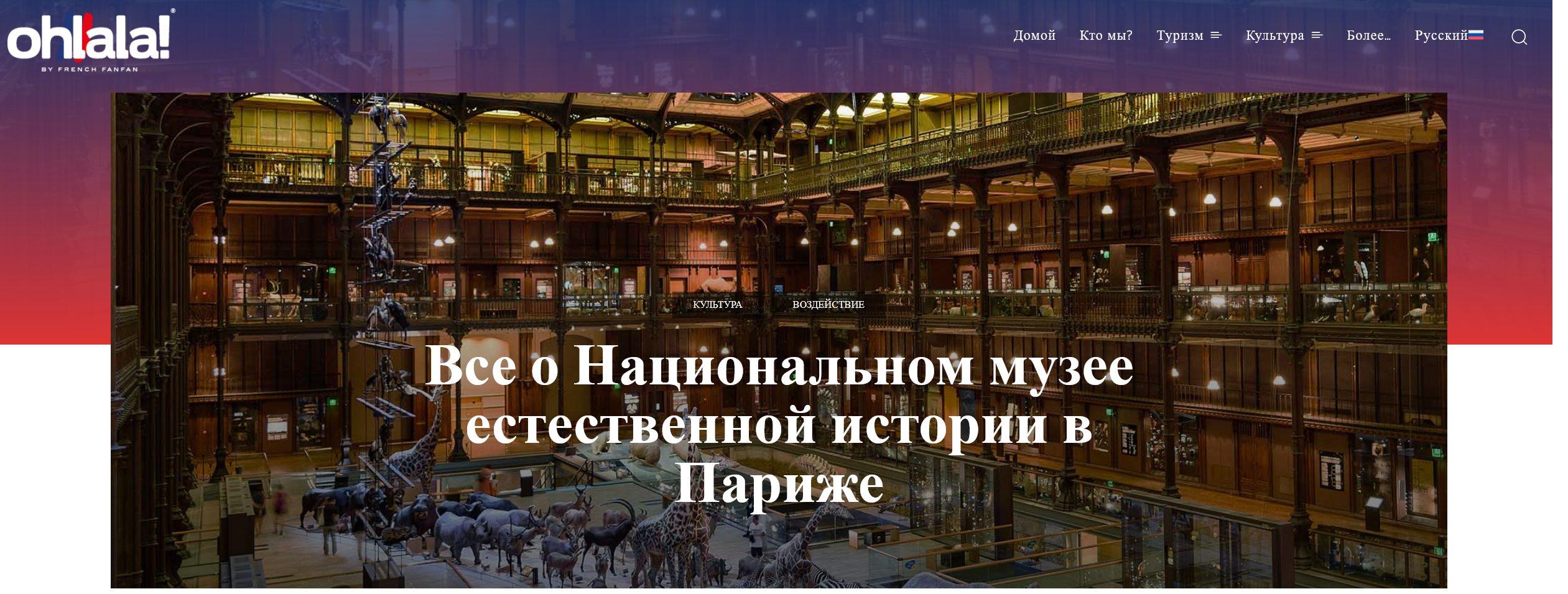 все он национальном музее естественной истории в Париже