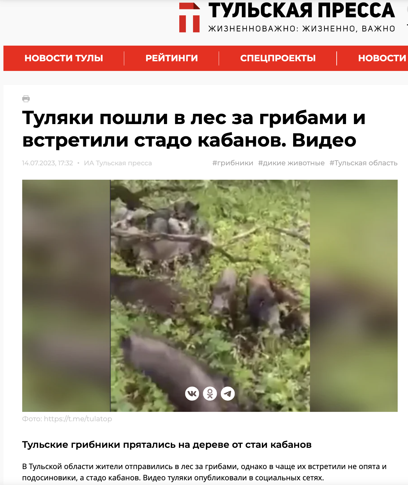Snimok Ekrana 2023 07 17 V 14.39.36