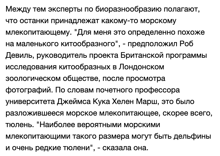 австралийский скелет русалки принадлежит китообразному млекопитающему дельфину или тюленю