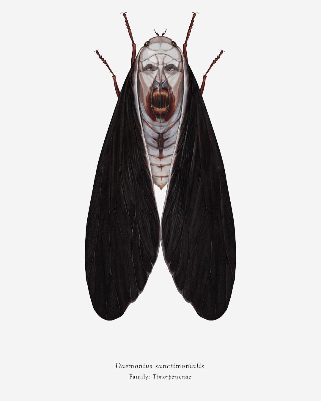 daemonius sanctimonialis